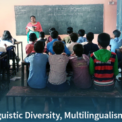 Our recent publication chosen as the cover of the journal "Languages"